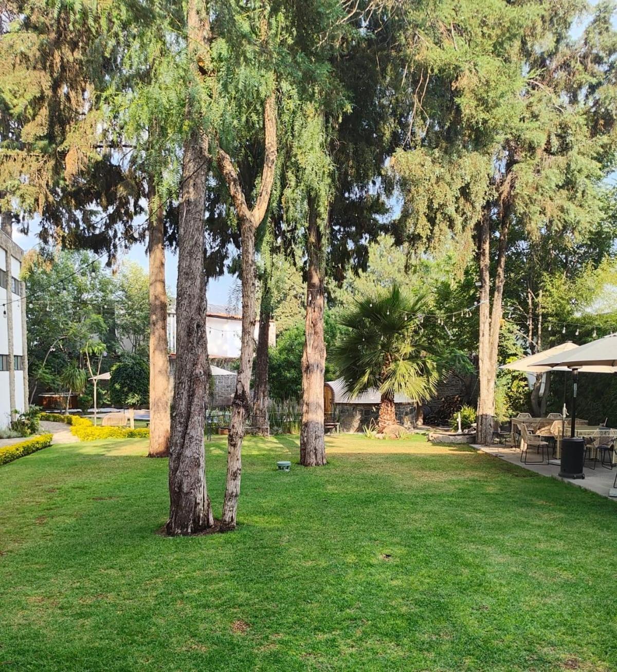 Hotel Boutique Camino Del Bosque By Rotamundos Cholula Exterior foto